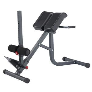 Купить Гиперэкстензия 2 в 1 (римский стул) Body Craft F670 в Воронеже 